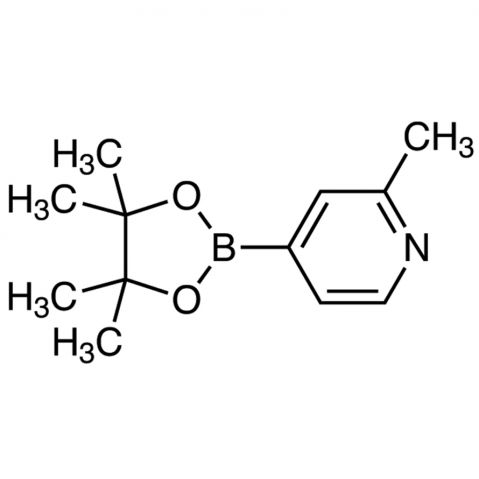 2-Methylpyridine-4-boronic acid pinacol ester Chemical Structure