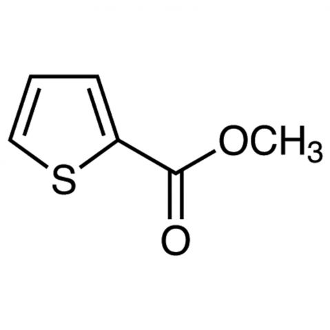 Methyl 2-Thiophenecarboxylate التركيب الكيميائي