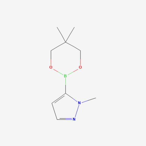 1-Methyl-1H-pyrazole-5-boronic acid neopentyl glycol ester Chemical Structure