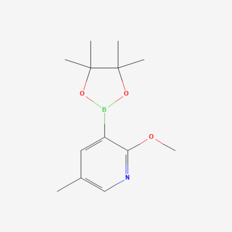 2-Methoxy-5-methylpyridine-3-boronic acid pinacol ester Chemical Structure