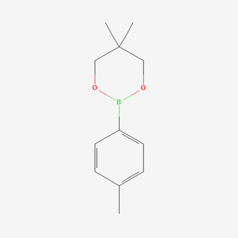 4-Methylphenylboronic acid neopentyl ester 化学構造