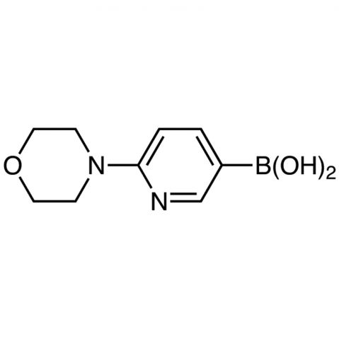 6-Morpholinopyridine-3-boronic acid (contains varying amounts of Anhydride) Chemische Struktur