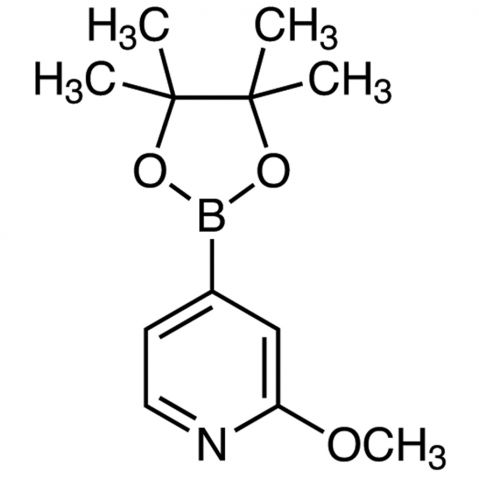 2-Methoxy-4-(4,4,5,5-tetramethyl-1,3,2-dioxaborolan-2-yl)pyridine Chemical Structure