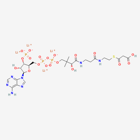 Malonyl coenzyme A tetralithium salt Chemical Structure