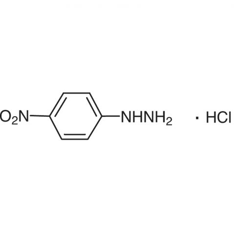 4-Nitrophenylhydrazine Hydrochloride التركيب الكيميائي