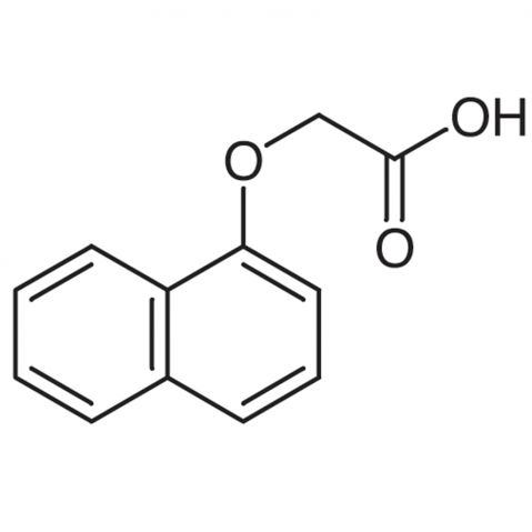 1-Naphthyloxyacetic Acid التركيب الكيميائي