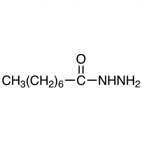 n-Octanohydrazide 化学構造