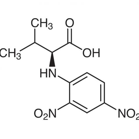 N-(2,4-Dinitrophenyl)-L-valine 化学構造