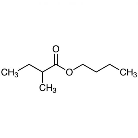 N-Butyl 2-Methylbutyrate Chemical Structure