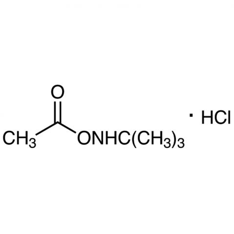 O-Acetyl-N-tert-butylhydroxylamine Hydrochloride Chemische Struktur