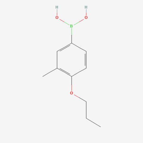 4-Propoxy-3-methylphenylboronic acid 化学構造