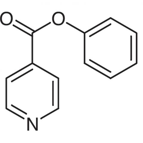 Phenyl Isonicotinate Chemische Struktur