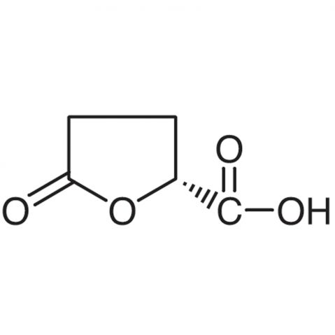 (R)-(-)-5-Oxotetrahydrofuran-2-carboxylic Acid Chemical Structure