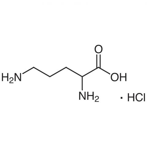 DL-Ornithine Monohydrochloride التركيب الكيميائي