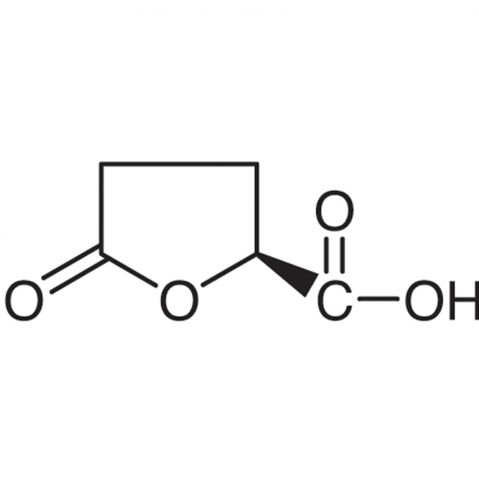 (S)-(+)-5-Oxotetrahydrofuran-2-carboxylic Acid Chemical Structure