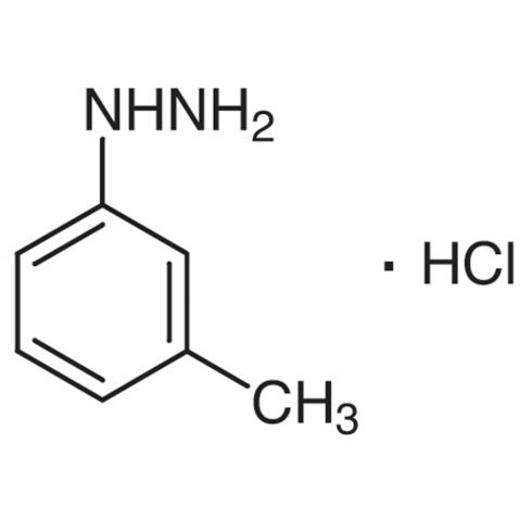 m-Tolylhydrazine hydrochloride Chemical Structure