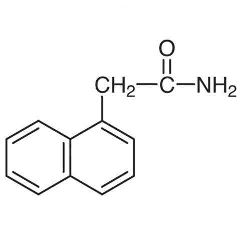 1-Naphthaleneacetamide 化学構造