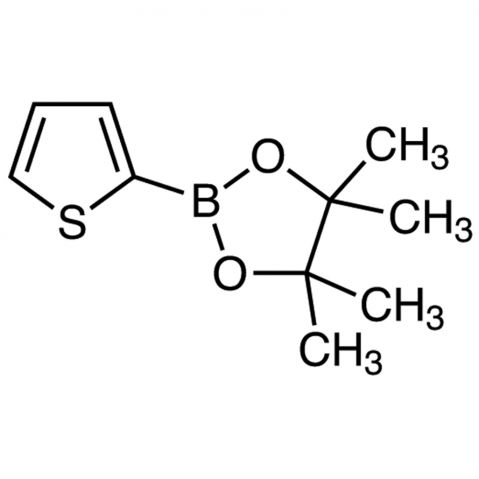 Thiophene-2-boronic acid pinacol ester Chemical Structure