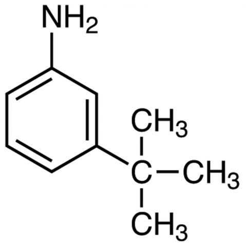 3-tert-Butylaniline 化学構造