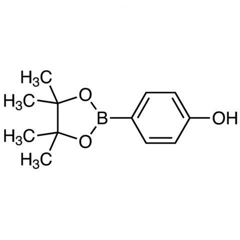 4-(4,4,5,5-Tetramethyl-1,3,2-dioxaborolan-2-yl)phenol Chemical Structure