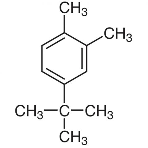 4-tert-Butyl-o-xylene التركيب الكيميائي