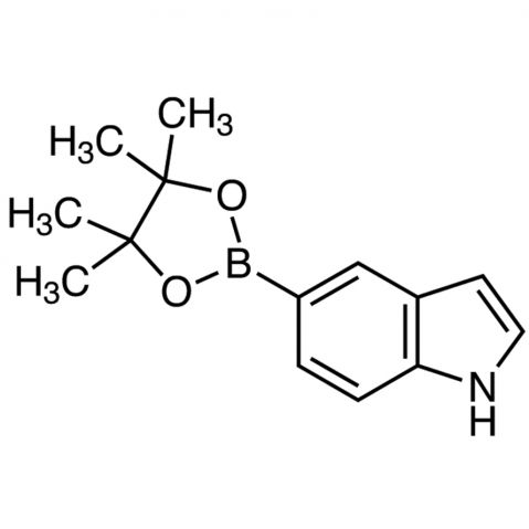 5-(4,4,5,5-Tetramethyl-1,3,2-dioxaborolan-2-yl)-1H-indole التركيب الكيميائي