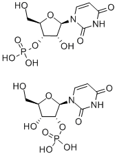 URIDYLIC ACID Chemical Structure