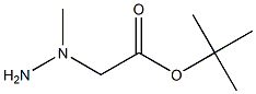 tert-Butyl 2-(1-Methylhydrazinyl)acetate Chemical Structure