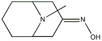 Pseudopelletierine Oxime 化学構造