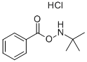 O-Benzoyl-N-tert-butylhydroxylamine Hydrochloride Chemical Structure