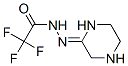 N-[(2Z)-Piperazin-2-ylidene]-2，2，2-trifluoroacetohydrazide Chemische Struktur