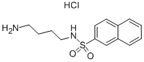 N-(4-Aminobutyl)-2-naphthalenesulfonamide Hydrochloride 化学構造