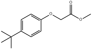 Methyl 2-(4-(tert-butyl)phenoxy)acetate التركيب الكيميائي