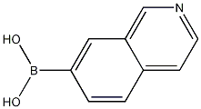 Isoquinolin-7-yl-7-boronic acid Chemische Struktur