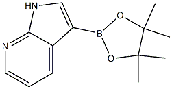 7-Azaindole-3-boronic Acid Pinacol Ester Chemische Struktur