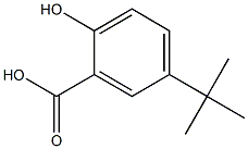 5-tert-Butyl-2-hydroxybenzoic Acid Chemical Structure