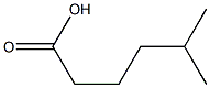 5-Methylhexanoic Acid Chemical Structure