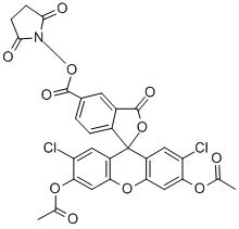 5(6)-CARBOXY-2'，7'-DICHLOROFLUORESCEIN DIACETATE N-SUCCINIMIDYL ESTER التركيب الكيميائي