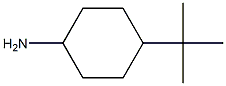 4-tert-Butylcyclohexylamine Chemical Structure