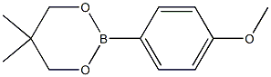 4-methoxyphenylboronic acid 2，2-dimethyl-1，3-propanediol ester Chemische Struktur