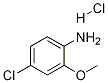 4-Chloro-2-methoxyaniline hydrochloride 化学構造