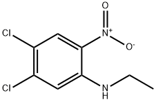 4，5-dichloro-N-ethyl-2-nitroaniline 化学構造