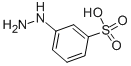 3-Hydrazinylbenzenesulfonic acid التركيب الكيميائي