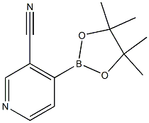 3-Cyano-4-pyridineboronic Acid Pinacol Ester 化学構造