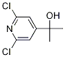 2-(2，6-Dichloro-4-pyridyl)-2-propanol Chemical Structure