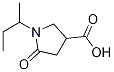 1-sec-Butyl-5-oxopyrrolidine-3-carboxylic Acid Chemical Structure