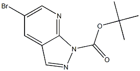 1-Boc-5-bromo-1H-pyrazolo[3，4-b]pyridine Chemical Structure