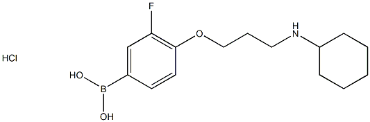 (4-(3-(Cyclohexylamino)propoxy)-3-fluorophenyl) boronic acid hydrochloride Chemical Structure