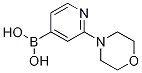 (2-Morpholinopyridin-4-yl)boronic acid 化学構造