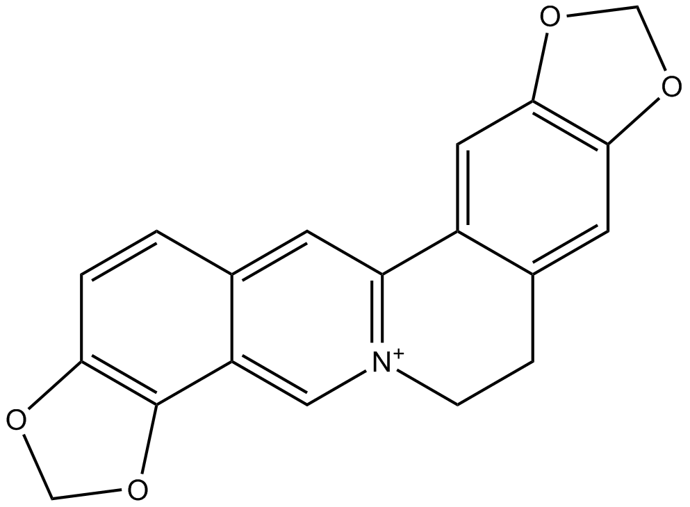 Coptisine Chemische Struktur